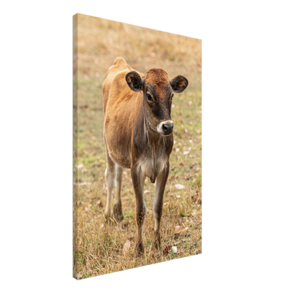 Cute calf Domestic Animal Canvas Wall Art Photography, Nursery Print, Nursery Animal Wall Decor, Kids Room, Prints, Stretched canvas by Istvan Maar Photography mockup 53