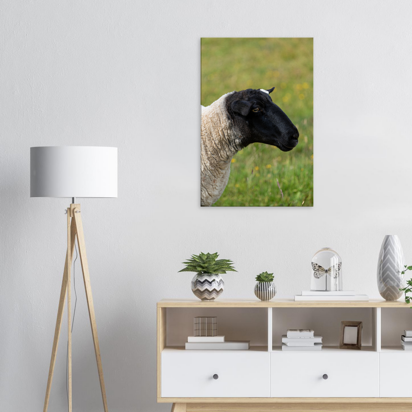 Sheep Domestic Animal Canvas Wall Art Photography, Nursery Print, Nursery Animal Wall Decor, Kids Room, Prints, Stretched canvas by Istvan Maar Photography 02