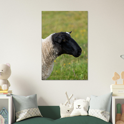 Sheep Domestic Animal Canvas Wall Art Photography, Nursery Print, Nursery Animal Wall Decor, Kids Room, Prints, Stretched canvas by Istvan Maar Photography 03