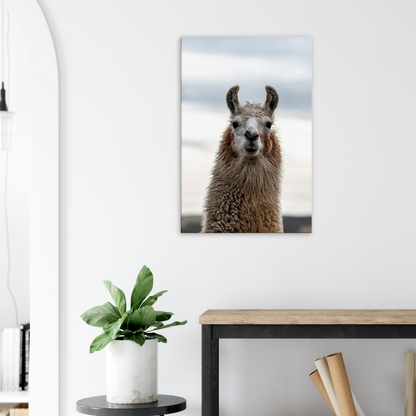 Llama Domestic Farm Animal Canvas Wall Art Photography, Nursery Print, Nursery Animal Wall Decor, Kids Room, Prints, Stretched canvas by Istvan Maar Photography mockup 18