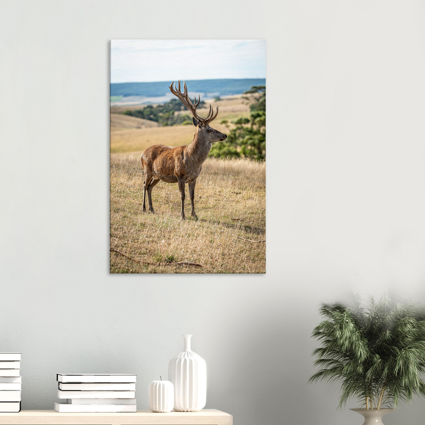 	
Deer Wildlife Animals Art Nursery Photography Wall Decor Kids Room Poster Playroom Artwork Stag Stretched Canvas 184