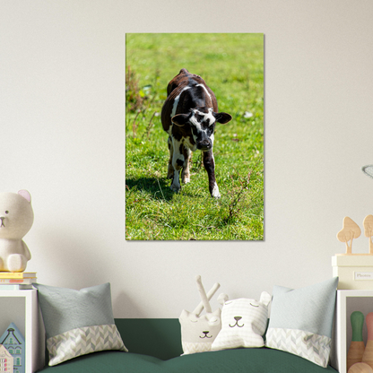 Cute calf Domestic Animal Canvas Wall Art Photography, Nursery Print, Nursery Animal Wall Decor, Kids Room, Prints, Stretched canvas by Istvan Maar Photography mockup 38