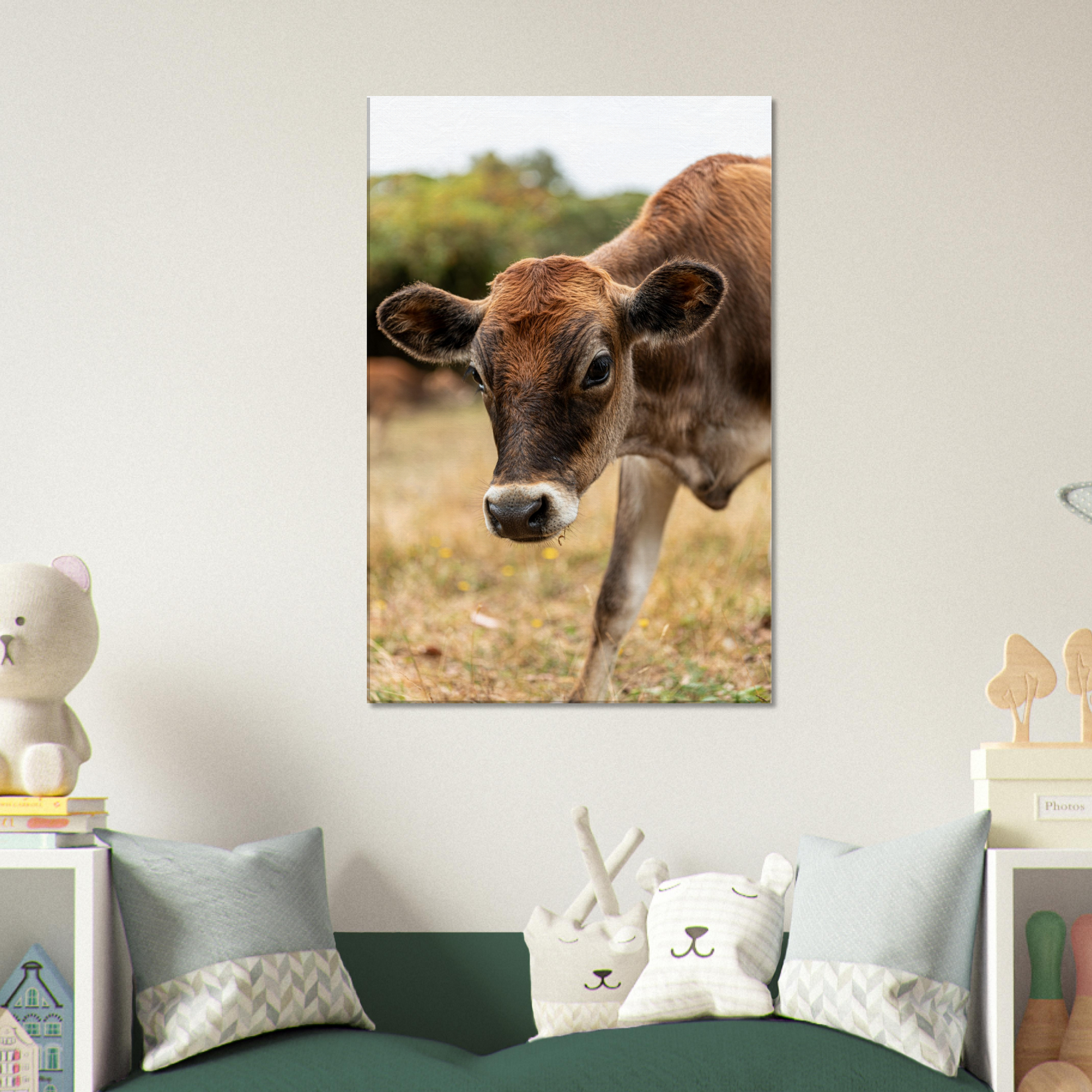 Cute calf Domestic Animal Canvas Wall Art Photography, Nursery Print, Nursery Animal Wall Decor, Kids Room, Prints, Stretched canvas by Istvan Maar Photography mockup 23