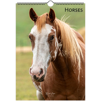 Horses Wall Calendar – front cover featuring horse captured by Istvan Maar Photography available in A4, A3, LT and LG US sizes.
