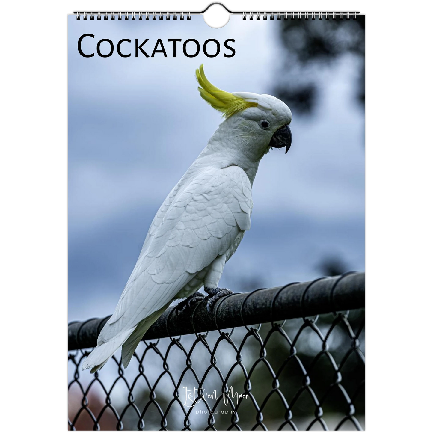 Cockatoo perched on a wire with a blurred natural background, featuring the word 'COCKATOOS'.