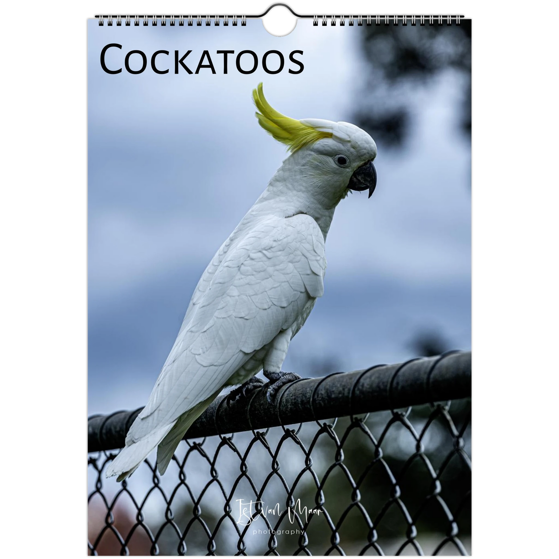 Cockatoo perched on a wire with a blurred natural background, featuring the word 'COCKATOOS'.
