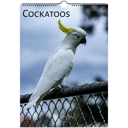Cockatoo perched on a wire with a blurred natural background, featuring the word 'COCKATOOS'.