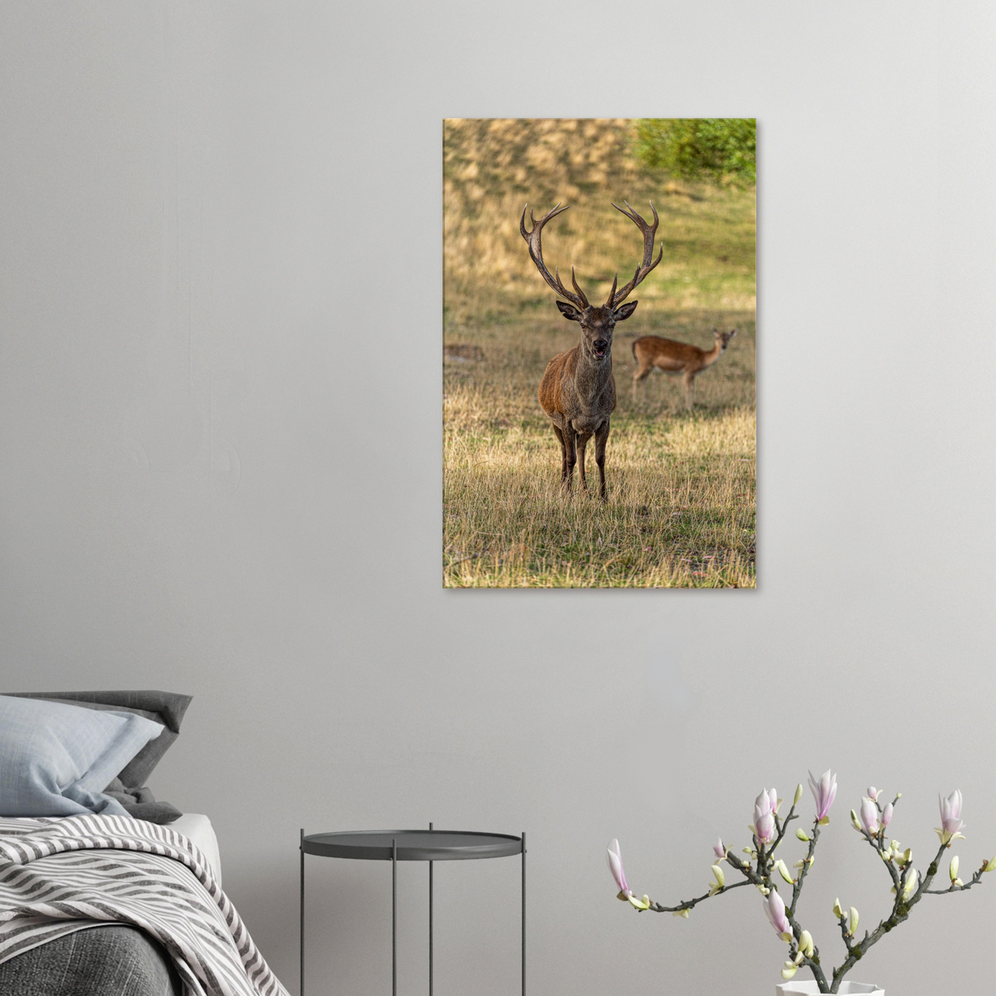 	
Deer Wildlife Animals Art Nursery Photography Wall Decor Kids Room Poster Playroom Artwork Stag Stretched Canvas 024