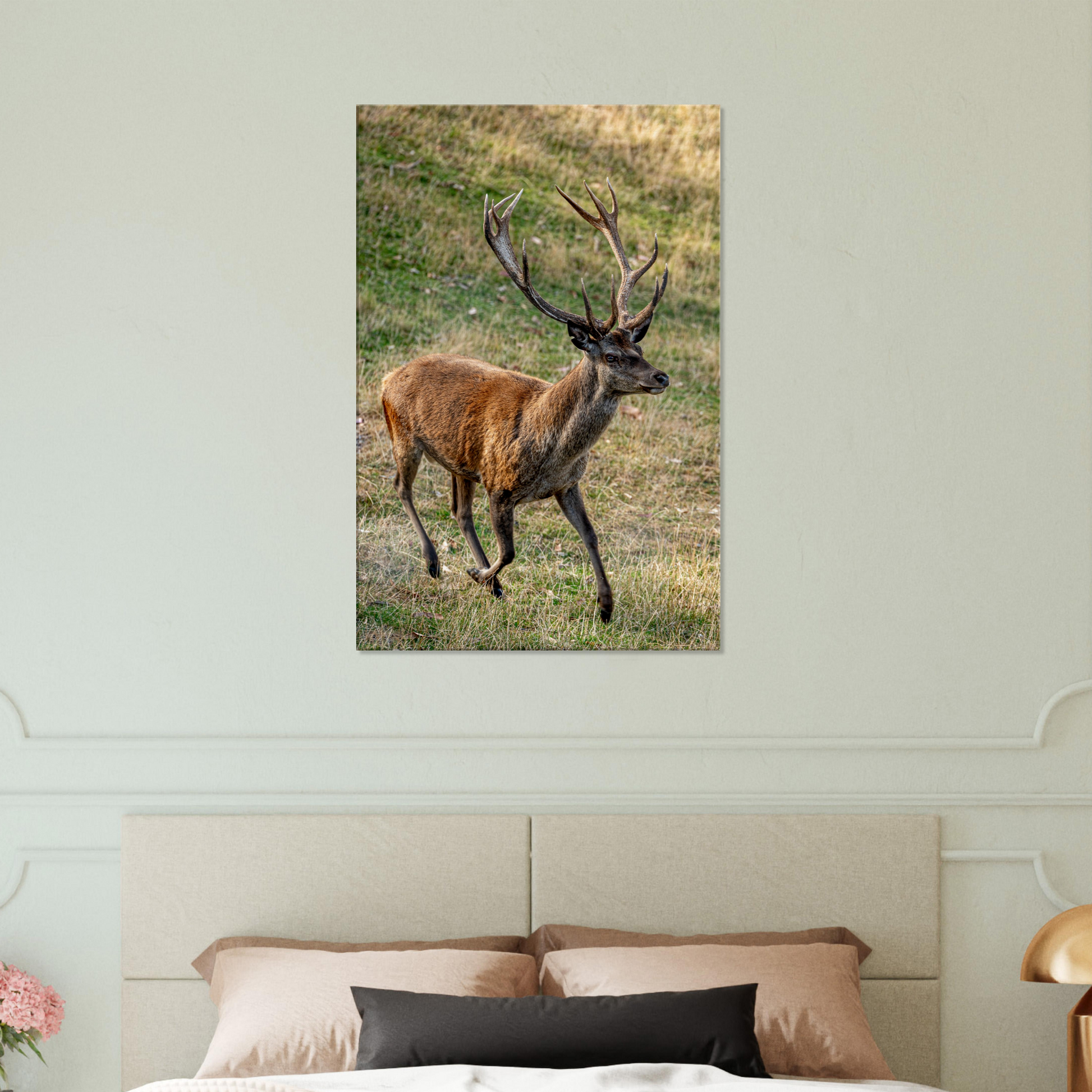 	
Deer Wildlife Animals Art Nursery Photography Wall Decor Kids Room Poster Playroom Artwork Stag Stretched Canvas 010