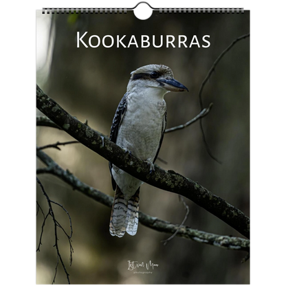 Kookaburras wall calendar cover – kookaburra on branch with bokeh forest background – fine art wildlife photography gift