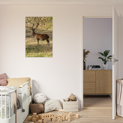 	
Deer Wildlife Animals Art Nursery Photography Wall Decor Kids Room Poster Playroom Artwork Stag Stretched Canvas 061