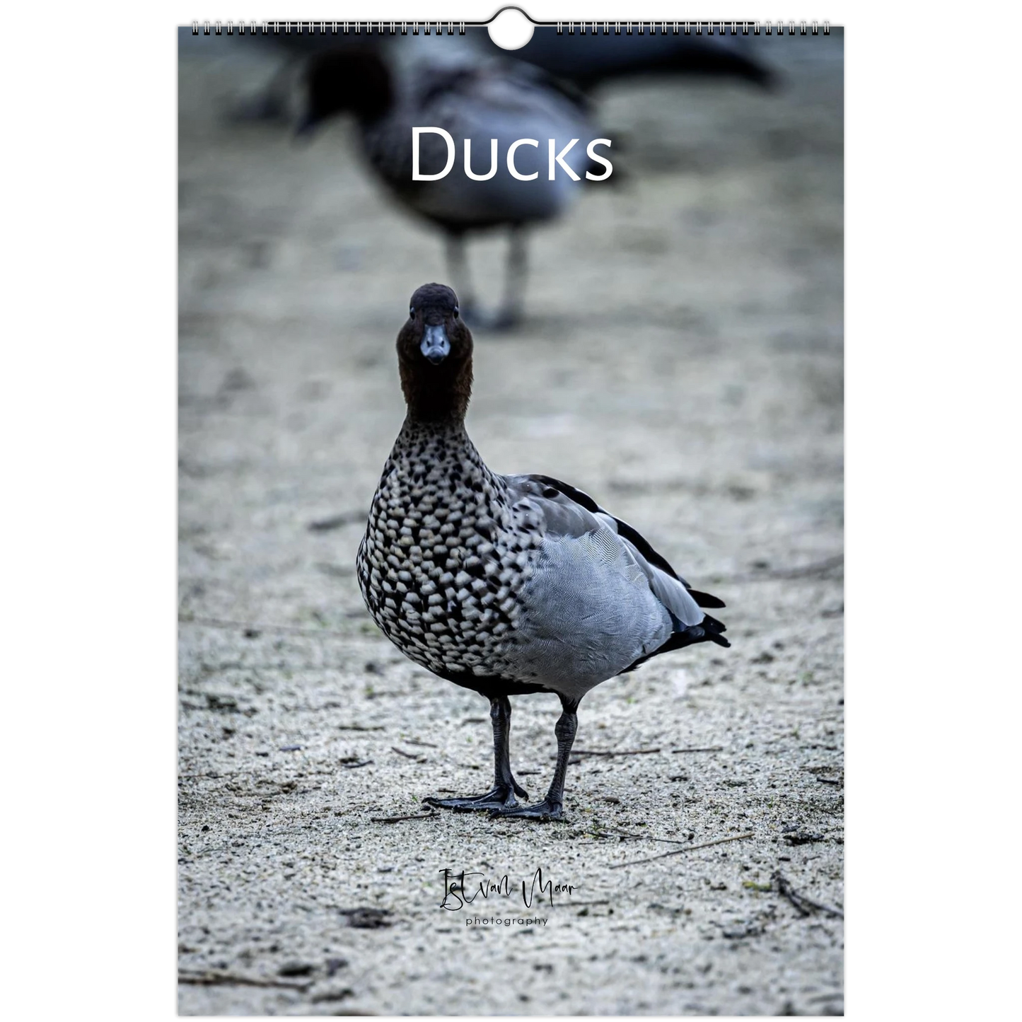 9c864082-f8d3-4b57-8af1-d12792d3c020