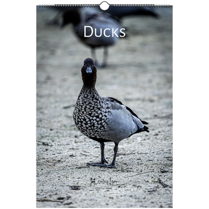 9c864082-f8d3-4b57-8af1-d12792d3c020