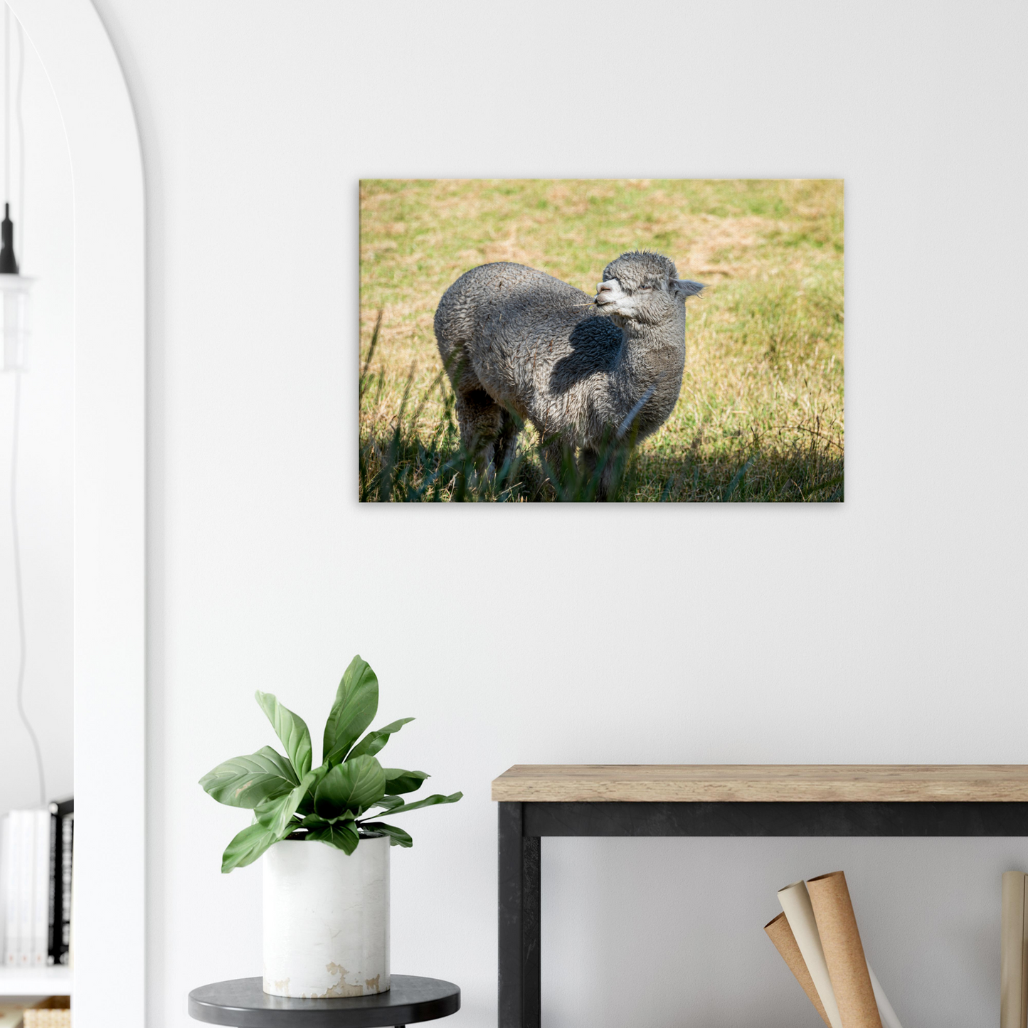 Domestic Farm Animal Canvas Wall Art Photography, Nursery Print, Nursery Animal Wall Decor, Kids Room, Prints, Stretched canvas by Istvan Maar Photography mockup 05