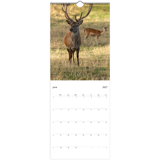 2027 Deer Slim Wall Calendar - lifestyle wall display in home interior