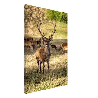 	
Deer Wildlife Animals Art Nursery Photography Wall Decor Kids Room Poster Playroom Artwork Stag Stretched Canvas 128