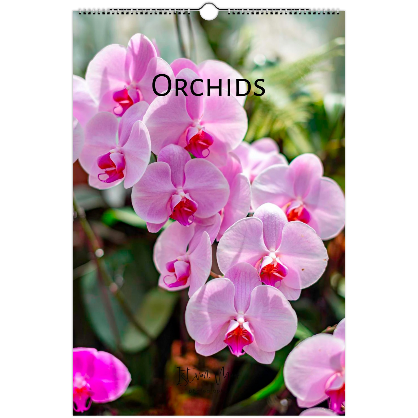 A hanging wall calendar cover featuring a close-up photograph of pink orchids with the word 'Orchids' printed across the top. The calendar has a spiral binding at the top and a small hanging hole.