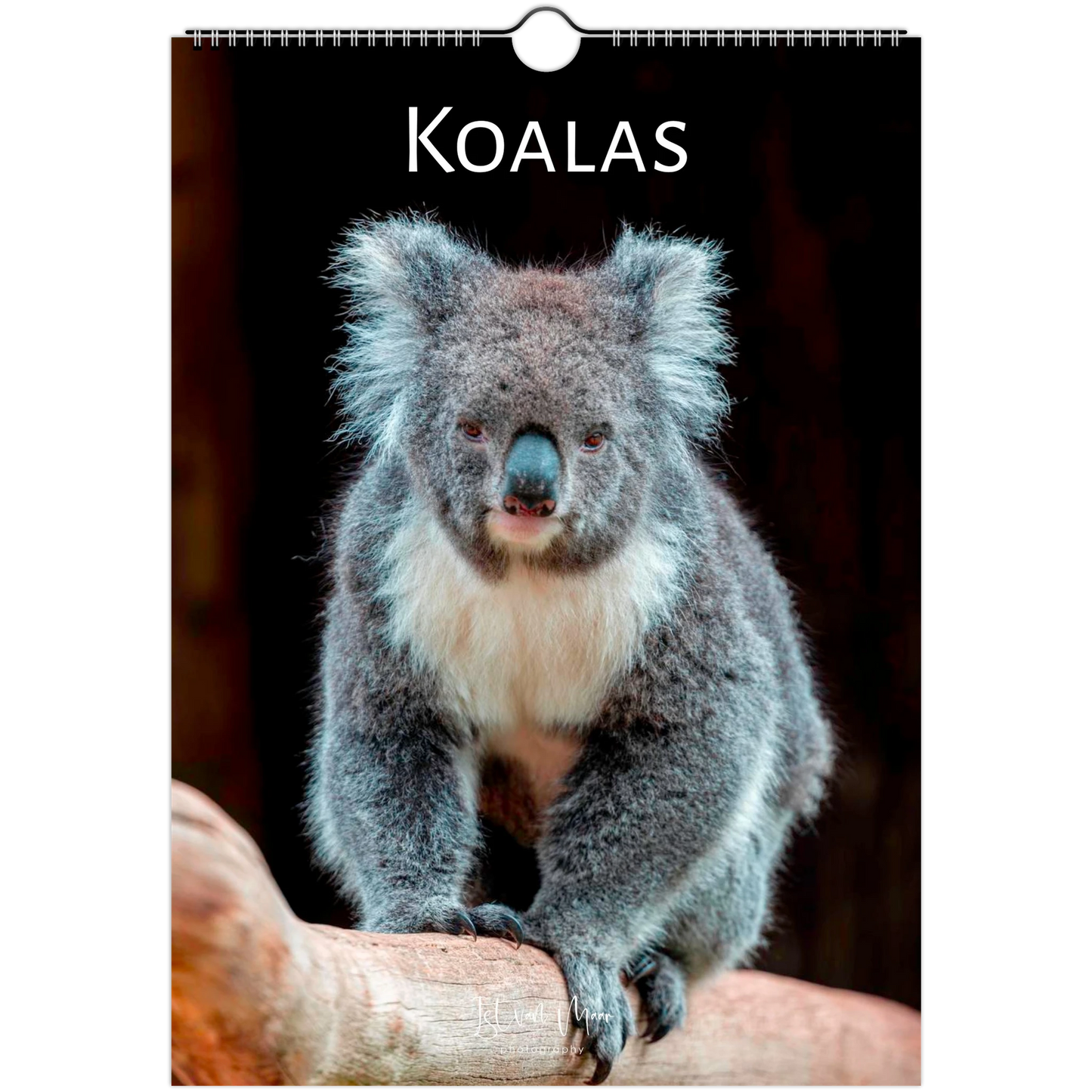 A4 Koalas Wall Calendar 2027 front cover – Istvan Maar Photography – Animal Calendars – Australian animal calendars