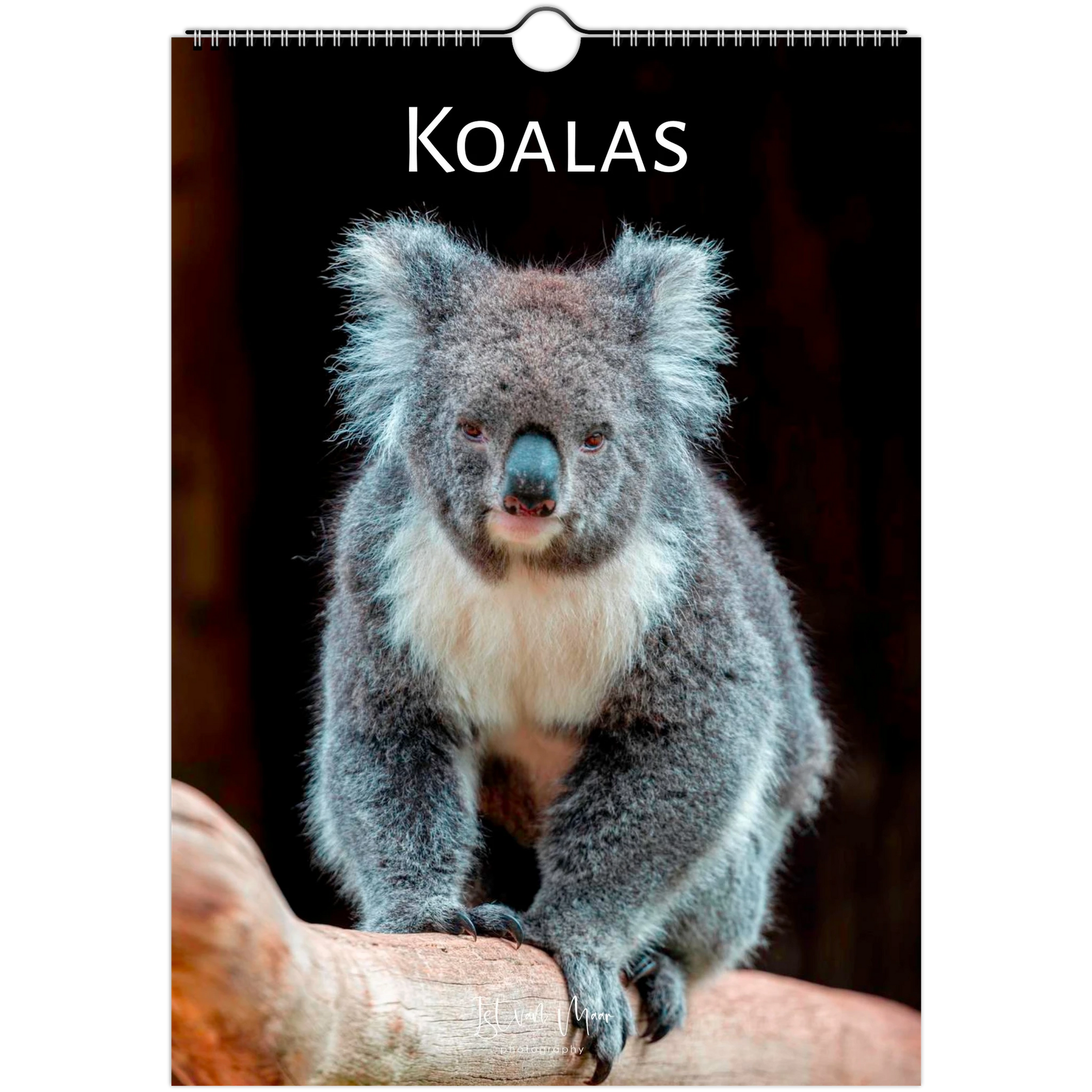 A4 Koalas Wall Calendar 2027 front cover – Istvan Maar Photography – Animal Calendars – Australian animal calendars