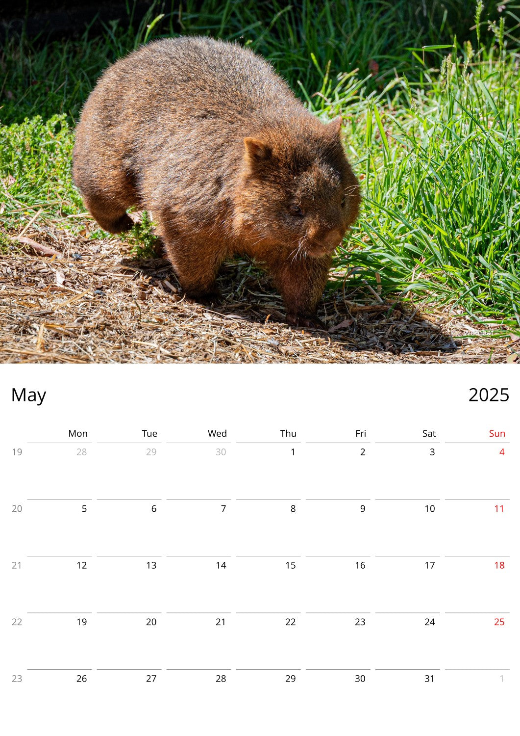 A page of Australian Wildlife Wall calendar by Istvan Maar Photography - Cover