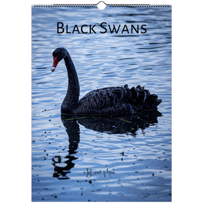 Black Swans wall calendar cover by Istvan Maar Photography, featuring black swans in Melbourne's parks.