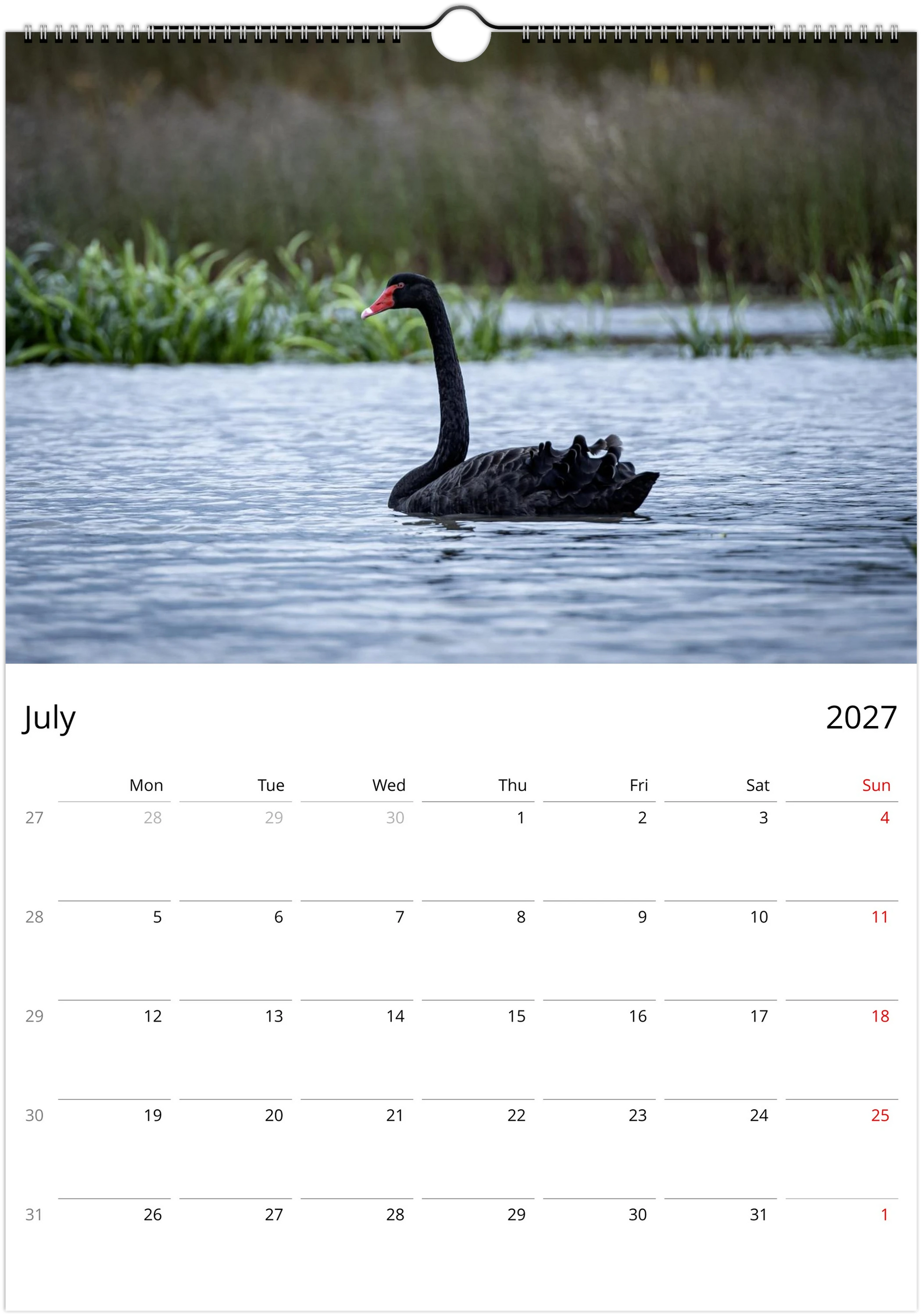 Black Swans wall calendar page by istvanmaar.photography, featuring a black swan on a lake.