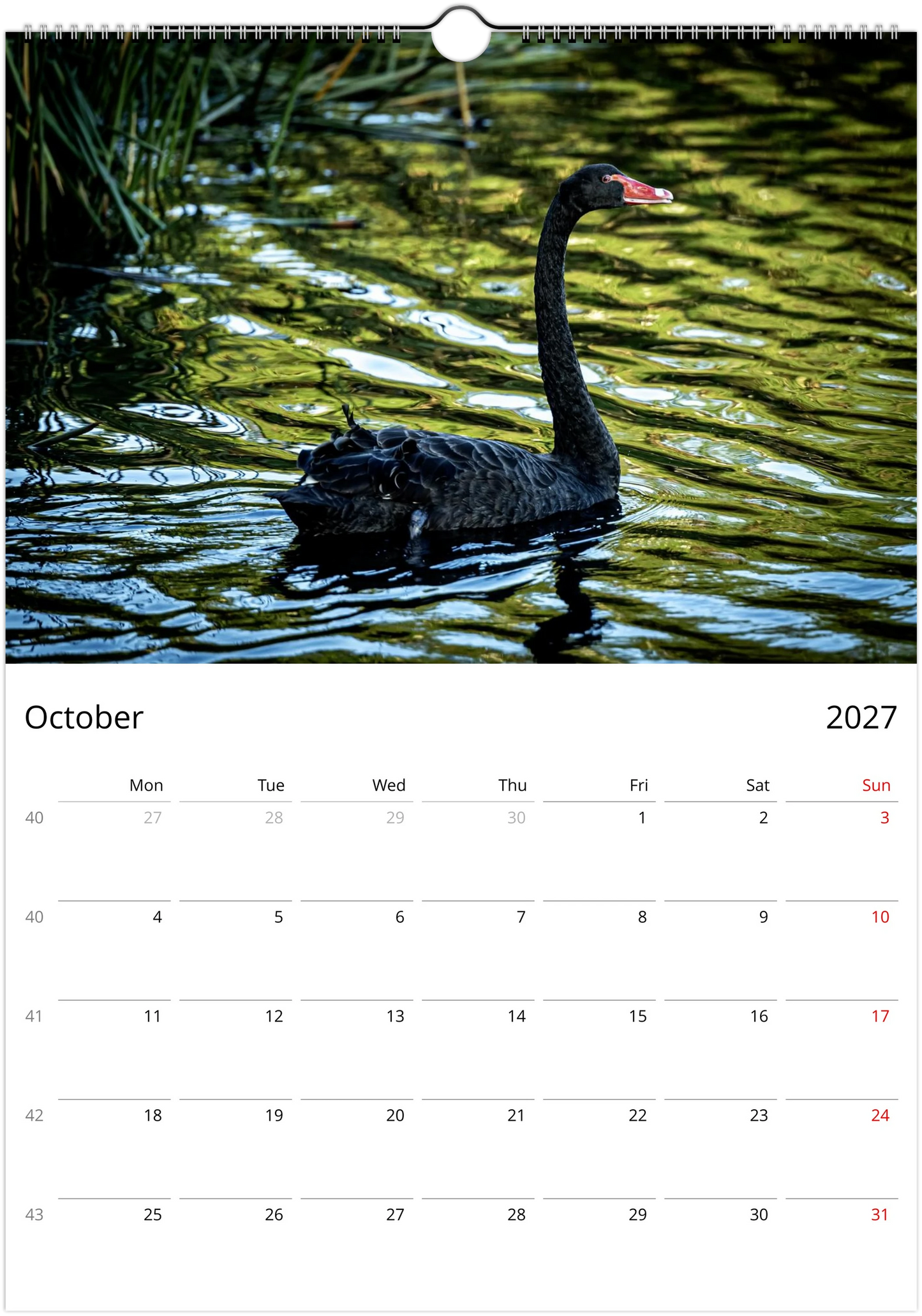 Black Swans wall calendar page by Istvan Maar Photography, featuring black swan on a lake.