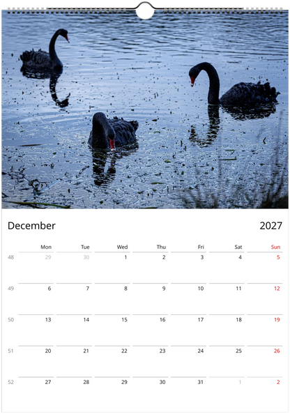 Black Swans wall calendar page by Istvan Maar Photography, featuring three black swans on a lake.