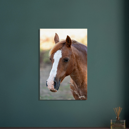 Horse home décor by Istvan Maar Photography