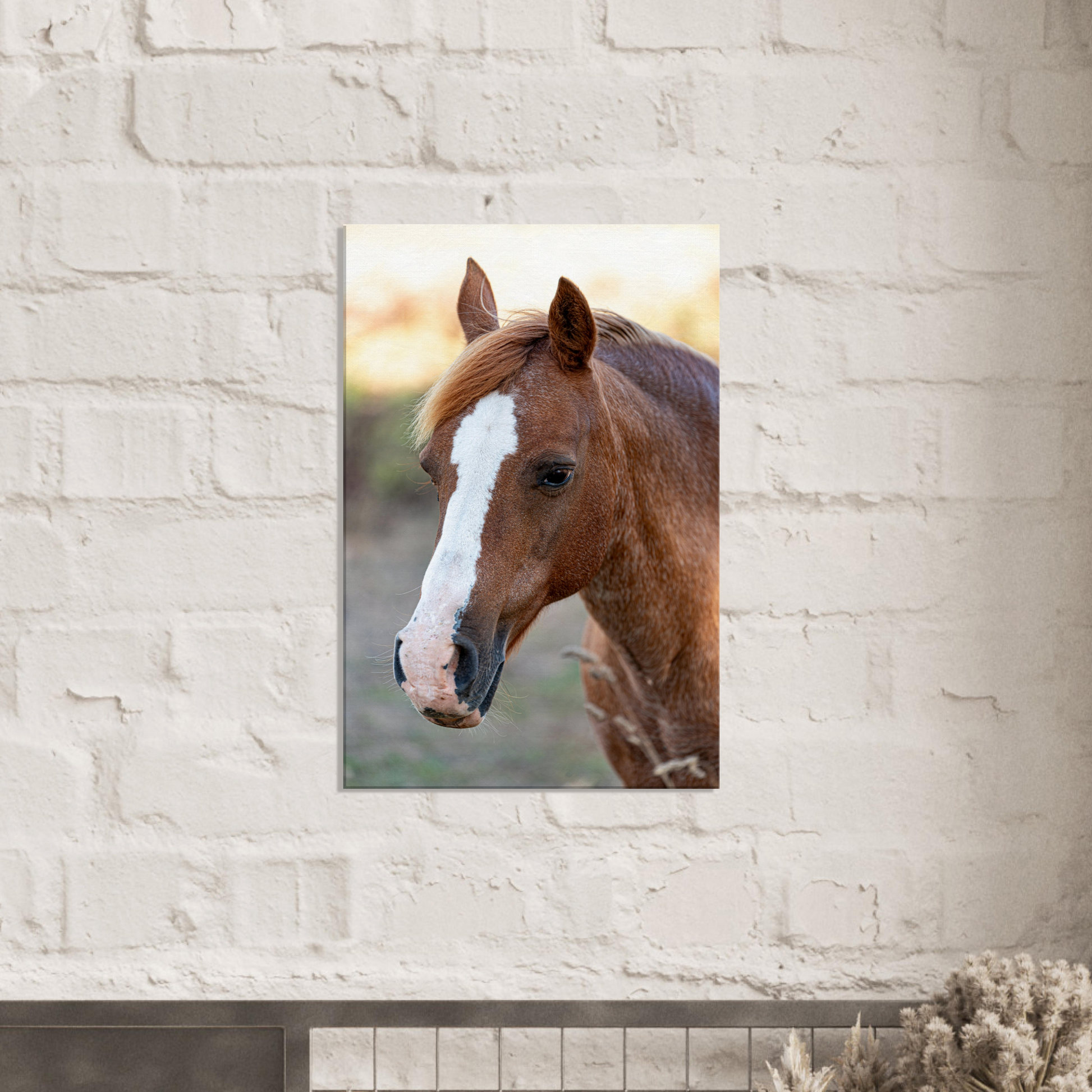 Horse Photo Canvas Wall Art by Istvan Maar Photography