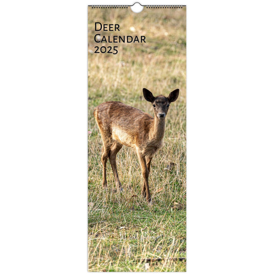 Cover of Slim Vertical Deer Calendar by Istvan Maar Photography in English Week start day Monday