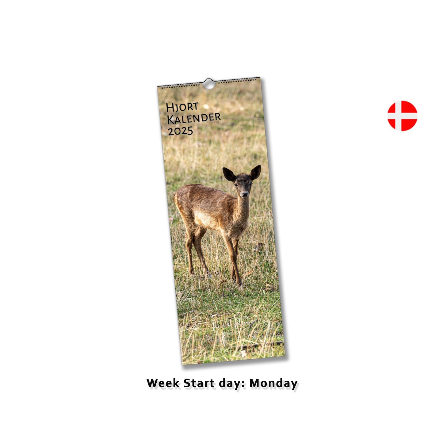 Deer wall calendar by Istvan Maar Photography in Danish