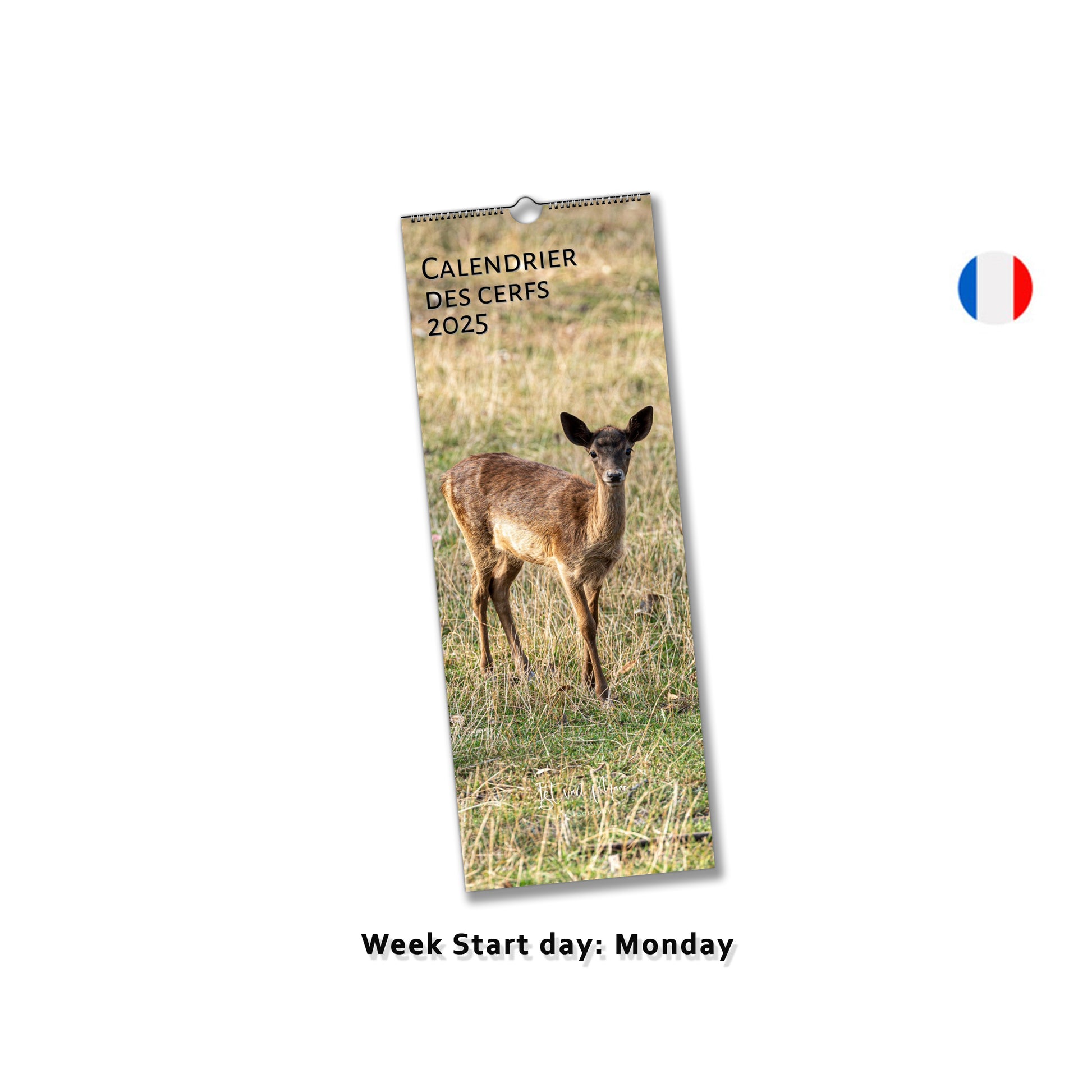 Deer calendars slim vertical by Istvan Maar Photography