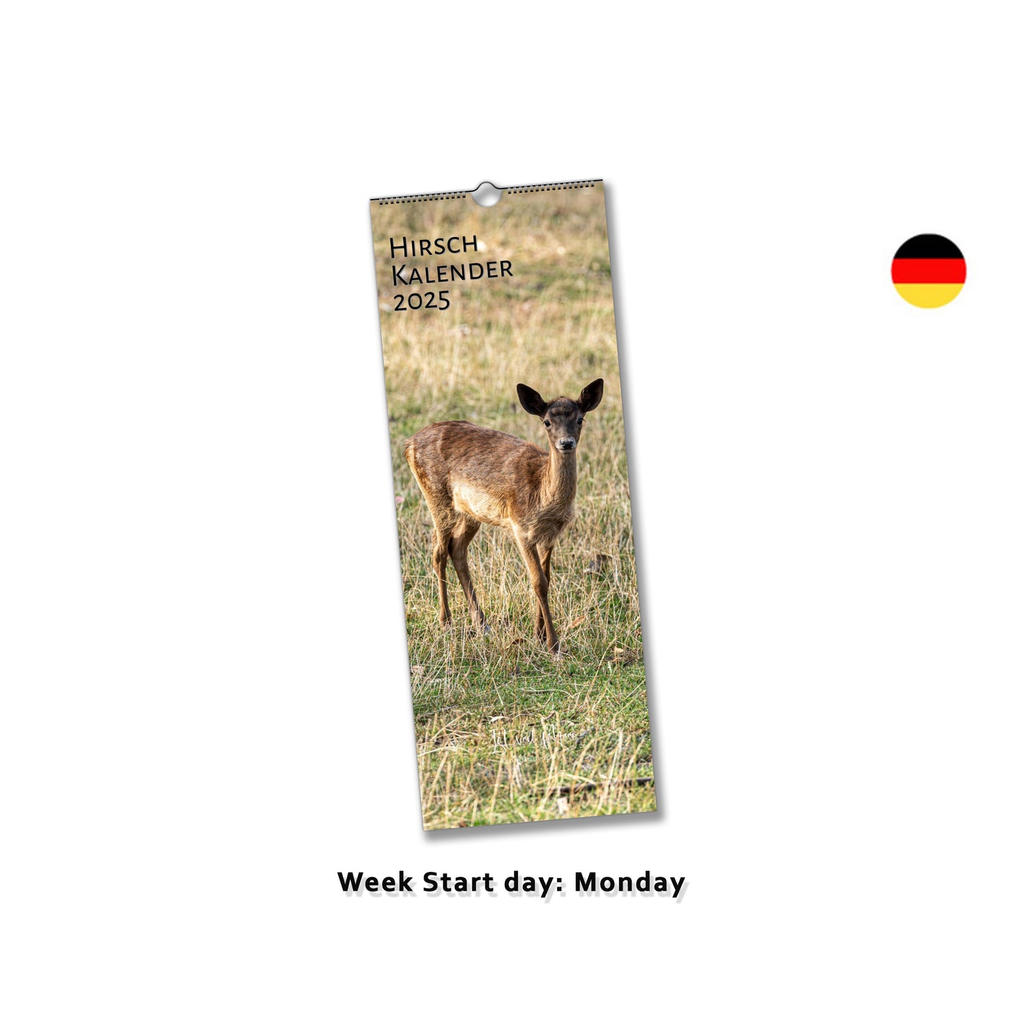 Unique Deer Wall Calendar by Istvan Maar Photography in German