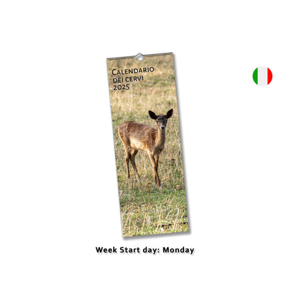 Deer wall calendar by Istvan Maar Photography in Italian