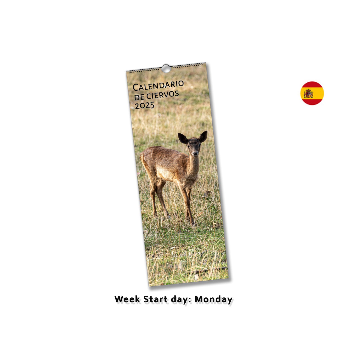 Deer wall calendar by Istvan Maar Photography in Spanish