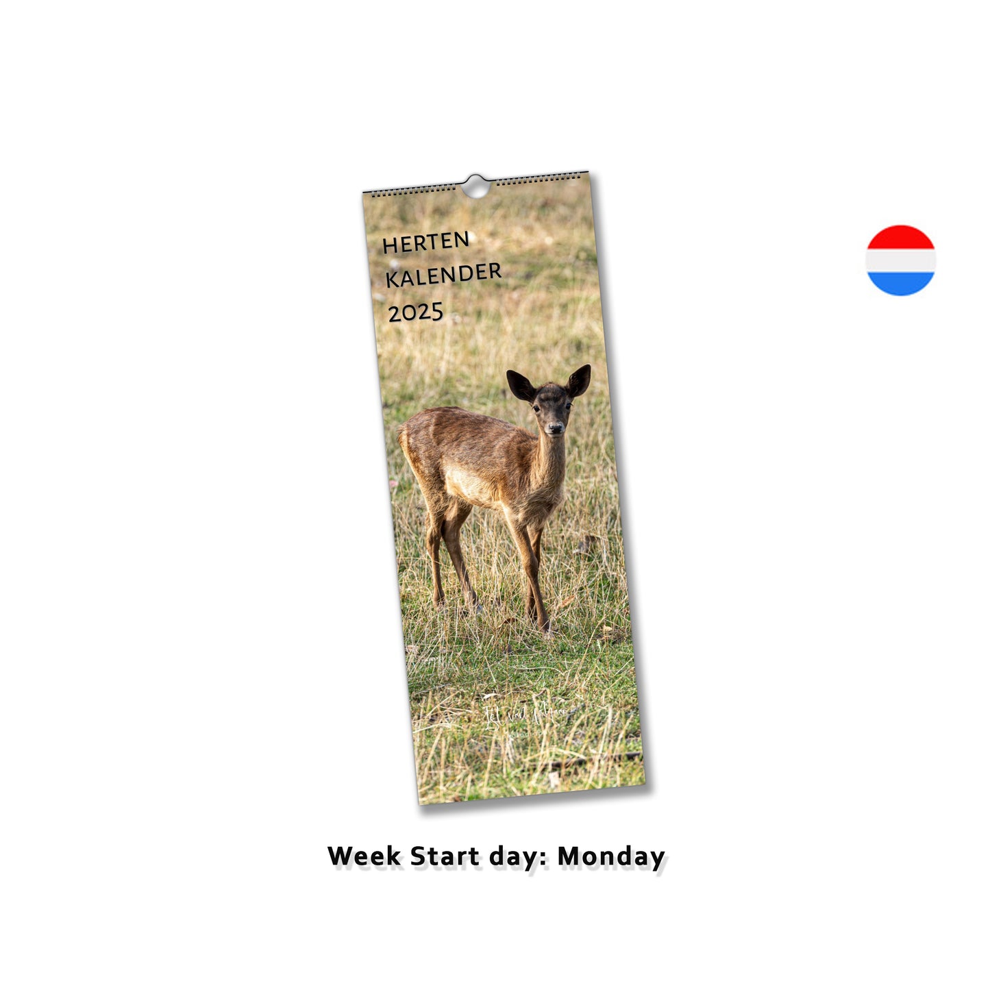 Deer slim calendar by Istvan Maar Photography