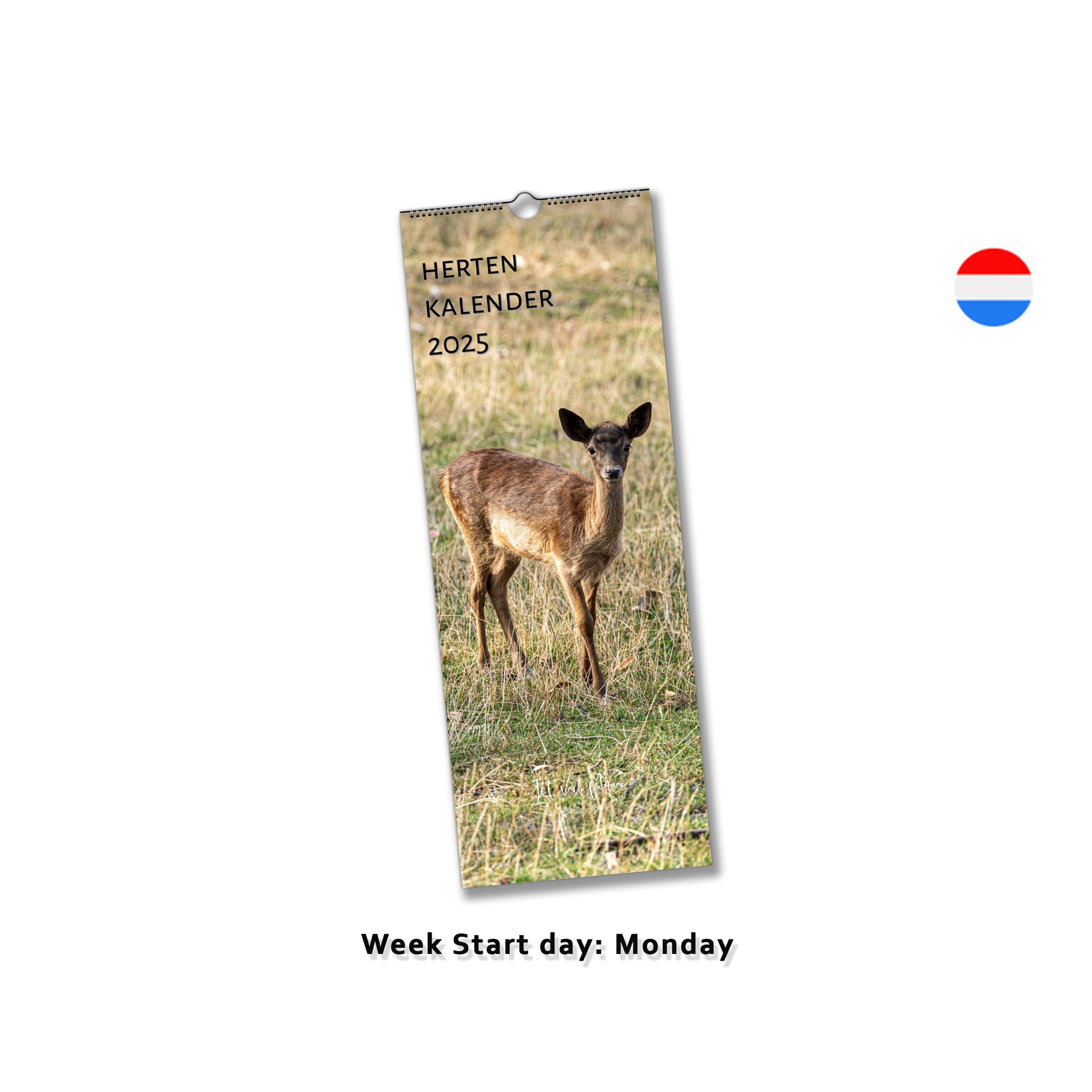 Deer slim calendar by Istvan Maar Photography