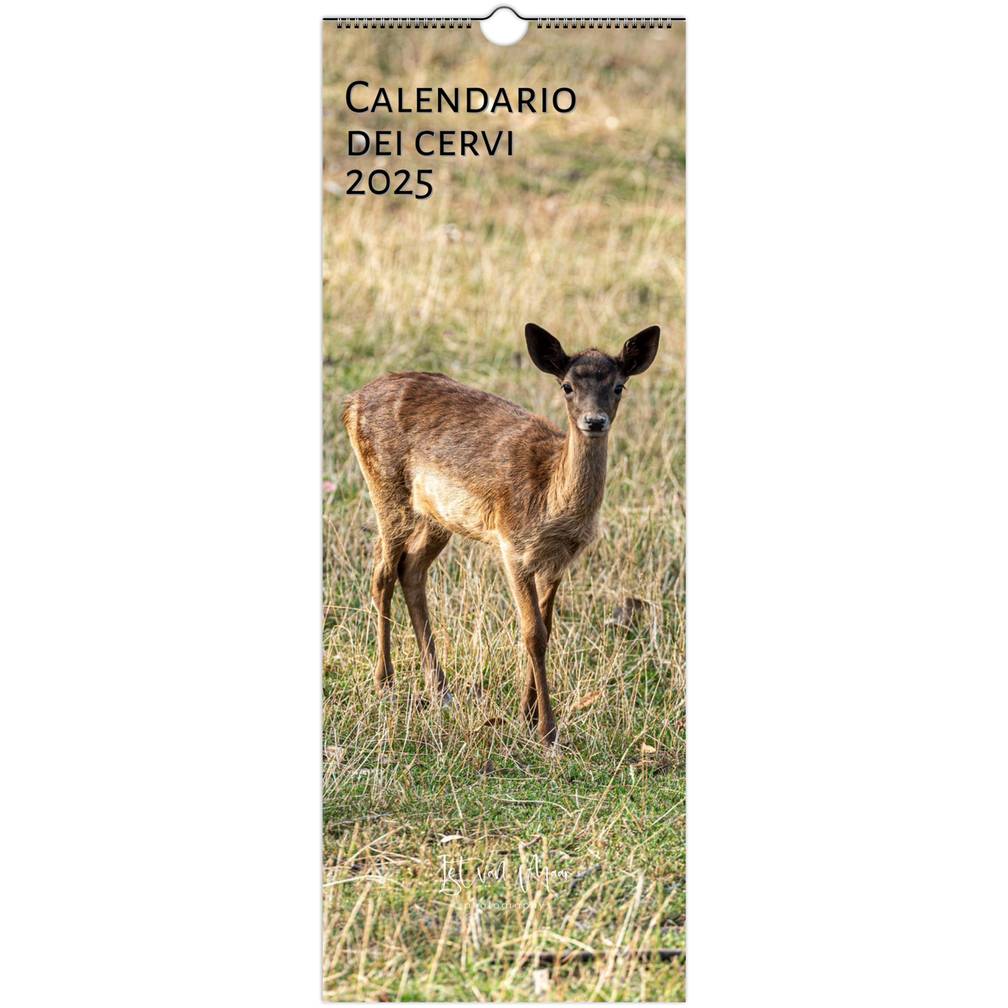 Deer calendar in Italian by Istvan Maar Photography