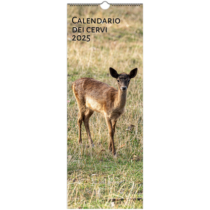 Deer calendar in Italian by Istvan Maar Photography