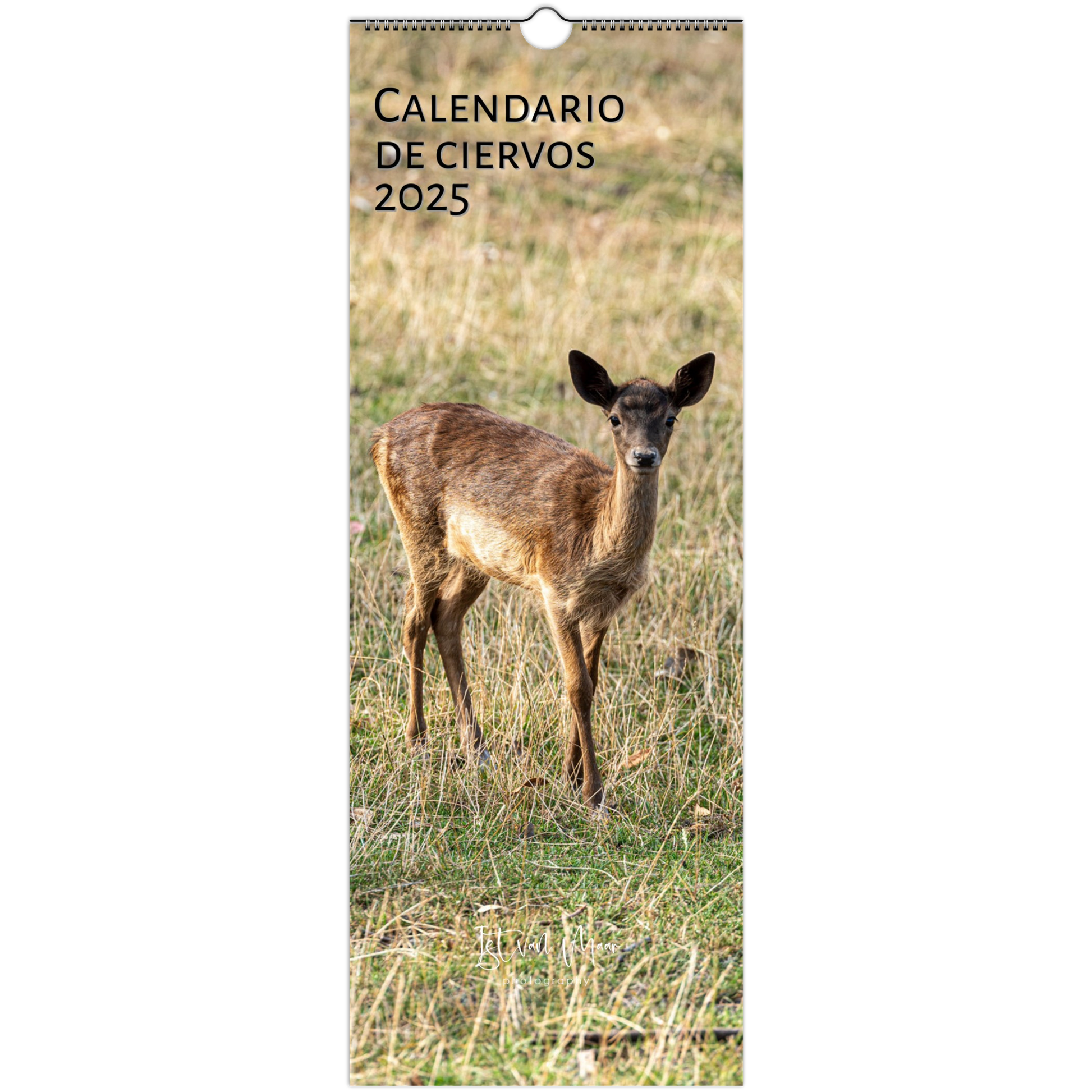 Deer wall calendar by Istvan Maar Photography in Spanish 