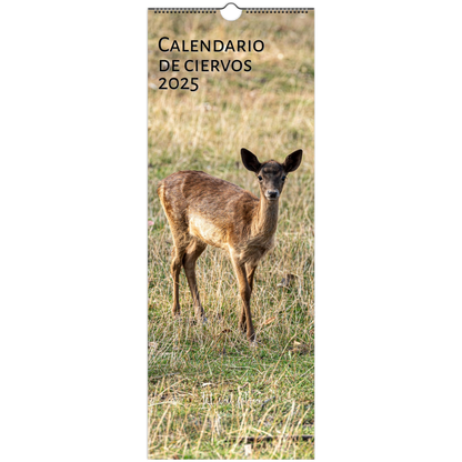 Deer wall calendar by Istvan Maar Photography in Spanish 