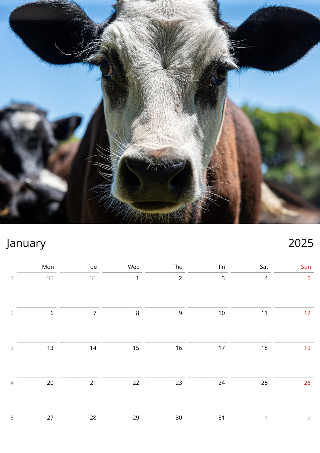 January Page from Personalised Farm Animal Calendar by Istvan Maar Photography in English, week starts by Monday