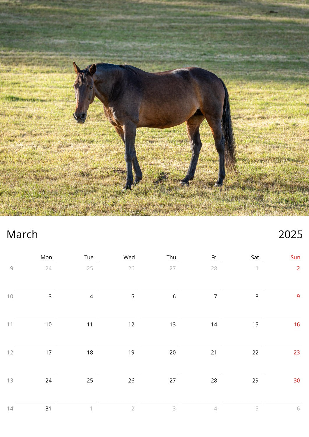 March Page from 2025 Farm Animal Calendar by Istvan Maar Photography in English, week starts by Monday