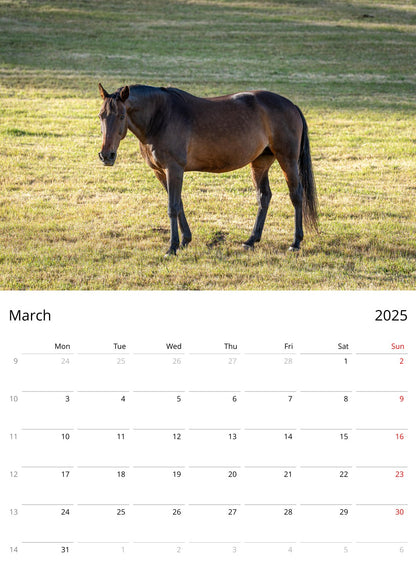 March page from Personalised Farm Animal Calendar by Istvan Maar Photography in English, week starts by Monday