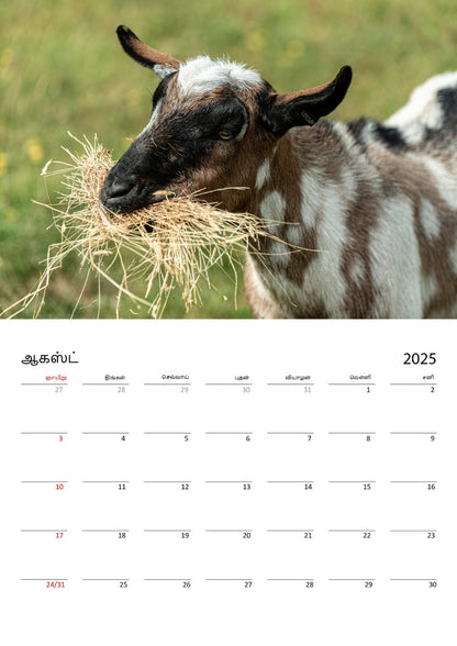 Page of a farm animals wall calendar by Istvan Maar Photography