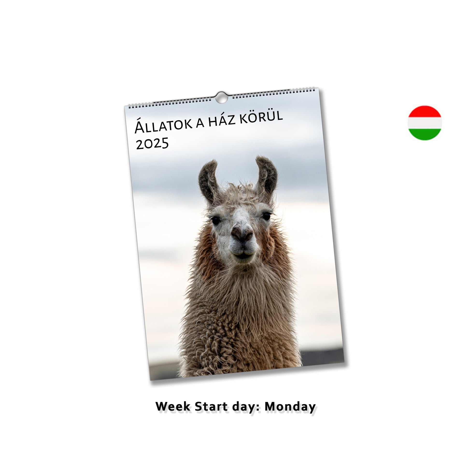 Farm animals wall calendar by Istvan Maar Photography