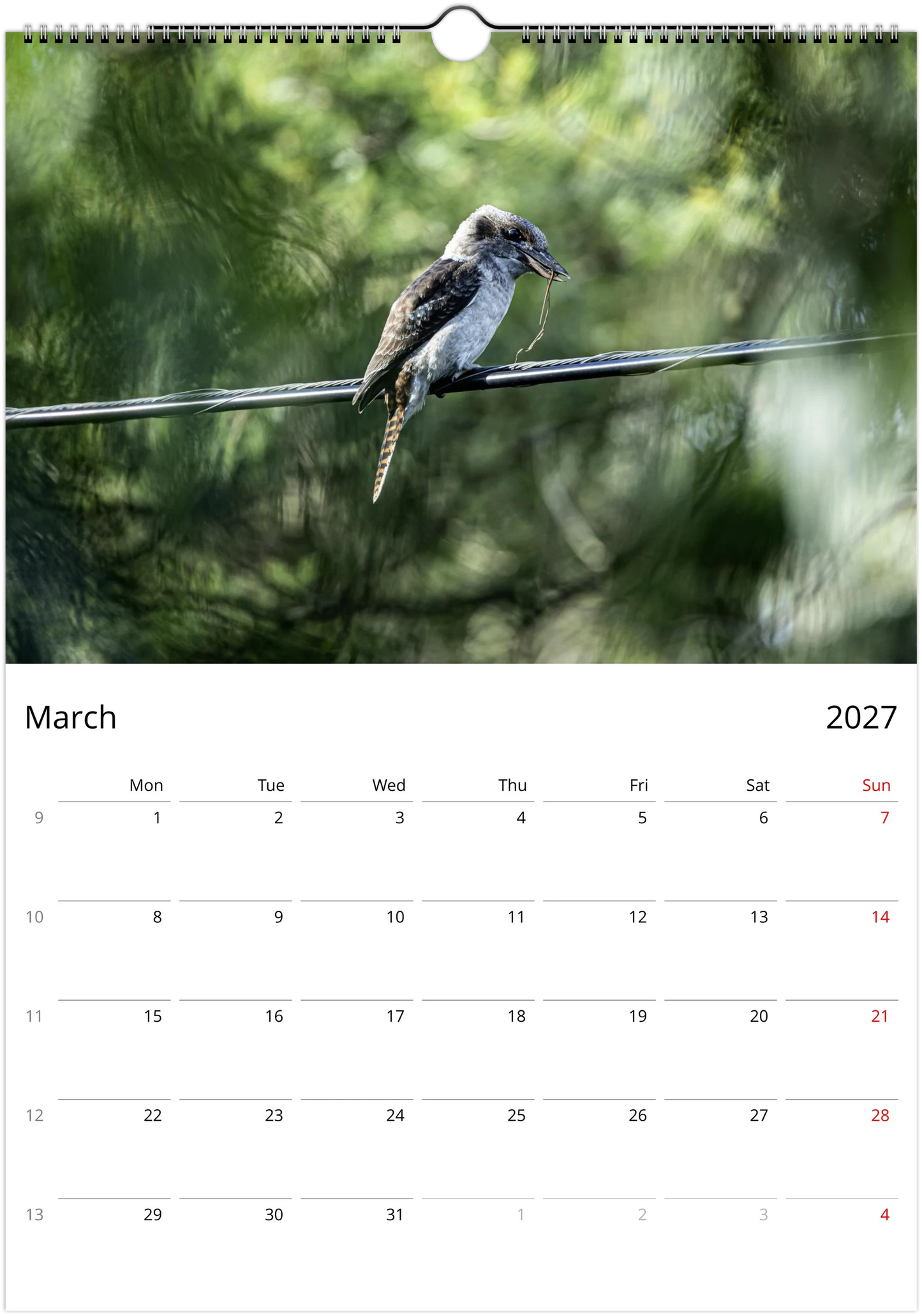 A wall calendar page showing the month of March 2027, with a large nature photograph of a kookaburra perched on a wire against a green blurred background. The calendar grid with days of the week appears below the photo.
