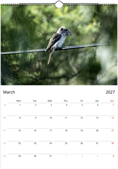 A wall calendar page showing the month of March 2027, with a large nature photograph of a kookaburra perched on a wire against a green blurred background. The calendar grid with days of the week appears below the photo.