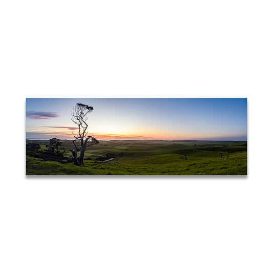 Large stretched canvas - sunset bliss, twisted tree by Istvan Maar Photography